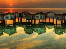 نورو تور مجری تور کیش از ساری در دی ماه